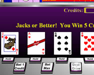 Casino critters video poker poker HTML5 játék