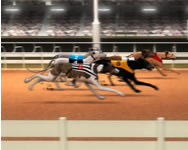 Greyhound racing poker HTML5 játék